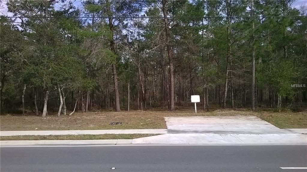 HOWLAND BOULEVARD, DELTONA, Florida 32738, ,Vacant land,For sale,HOWLAND,V4722896