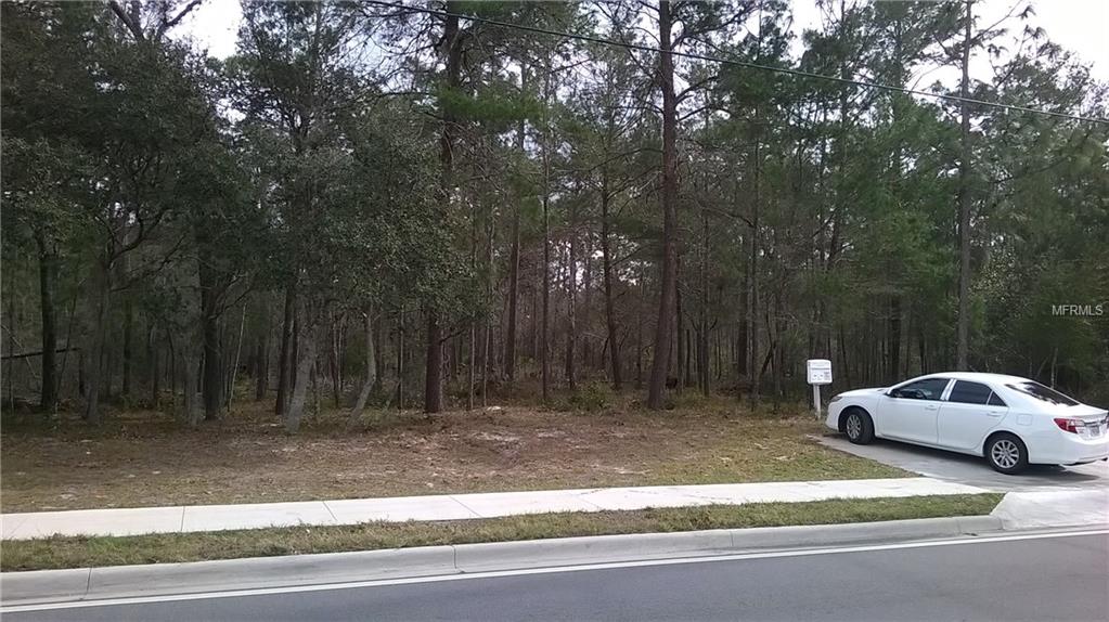 HOWLAND BOULEVARD, DELTONA, Florida 32738, ,Vacant land,For sale,HOWLAND,V4722896