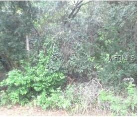2222 FLORIDA DRIVE, DELTONA, Florida 32738, ,Vacant land,For sale,FLORIDA,O5561487