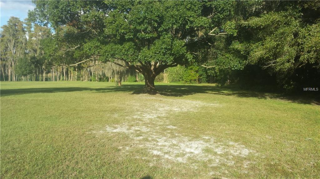 0 CYPRESS DR, LAND O LAKES, Florida 34638, ,Vacant land,For sale,CYPRESS DR,T2850605
