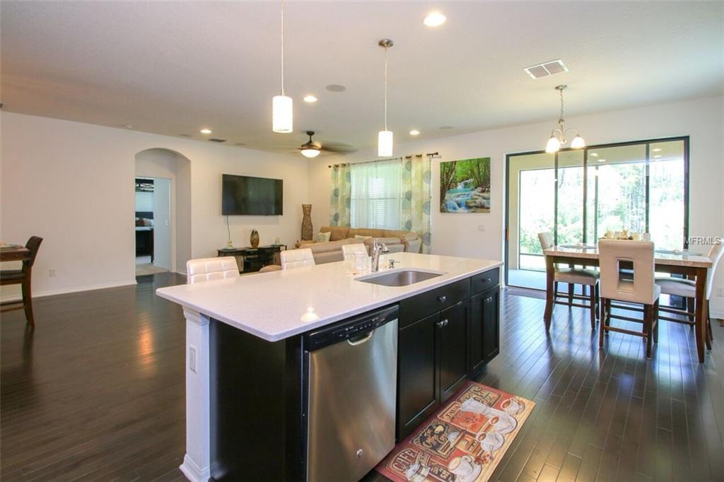 8418 BLUEVINE SKY DRIVE, LAND O LAKES, Florida 34637, 3 Bedrooms Bedrooms, 5 Rooms Rooms,2 BathroomsBathrooms,Residential,For sale,BLUEVINE SKY,T2899793