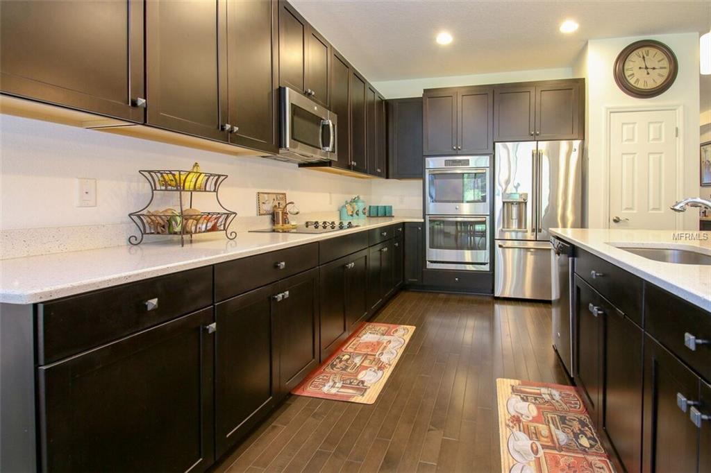 8418 BLUEVINE SKY DRIVE, LAND O LAKES, Florida 34637, 3 Bedrooms Bedrooms, 5 Rooms Rooms,2 BathroomsBathrooms,Residential,For sale,BLUEVINE SKY,T2899793