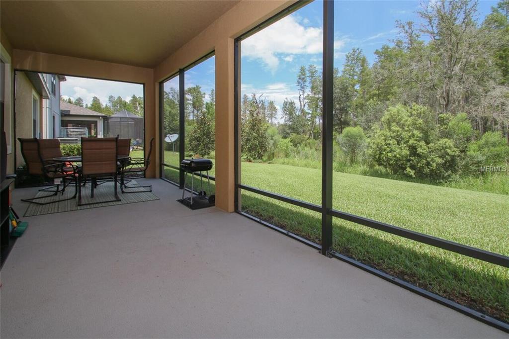 8418 BLUEVINE SKY DRIVE, LAND O LAKES, Florida 34637, 3 Bedrooms Bedrooms, 5 Rooms Rooms,2 BathroomsBathrooms,Residential,For sale,BLUEVINE SKY,T2899793