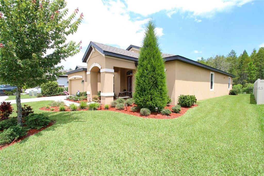 8418 BLUEVINE SKY DRIVE, LAND O LAKES, Florida 34637, 3 Bedrooms Bedrooms, 5 Rooms Rooms,2 BathroomsBathrooms,Residential,For sale,BLUEVINE SKY,T2899793