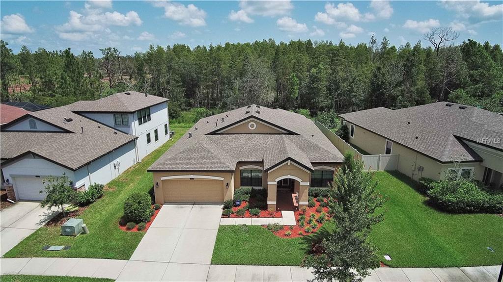 8418 BLUEVINE SKY DRIVE, LAND O LAKES, Florida 34637, 3 Bedrooms Bedrooms, 5 Rooms Rooms,2 BathroomsBathrooms,Residential,For sale,BLUEVINE SKY,T2899793