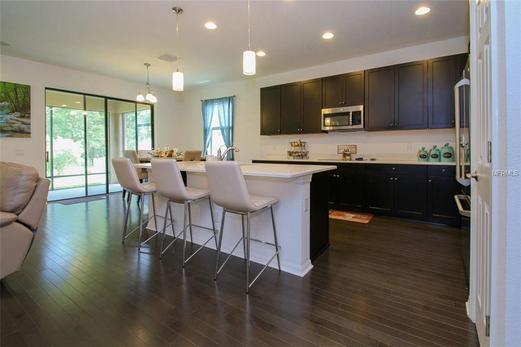 8418 BLUEVINE SKY DRIVE, LAND O LAKES, Florida 34637, 3 Bedrooms Bedrooms, 5 Rooms Rooms,2 BathroomsBathrooms,Residential,For sale,BLUEVINE SKY,T2899793