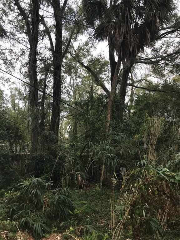 210 HIBISCUS COURT, ORLANDO, Florida 32801, ,Vacant land,For sale,HIBISCUS,O5561523