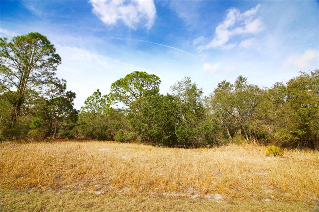1205 CARIBBEAN DR, POINCIANA, Florida 34759, ,Vacant land,For sale,CARIBBEAN DR,P4719040