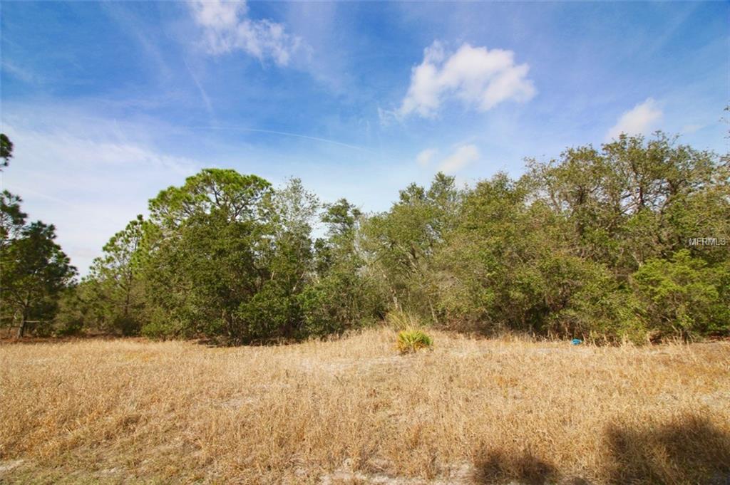 1205 CARIBBEAN DR, POINCIANA, Florida 34759, ,Vacant land,For sale,CARIBBEAN DR,P4719040