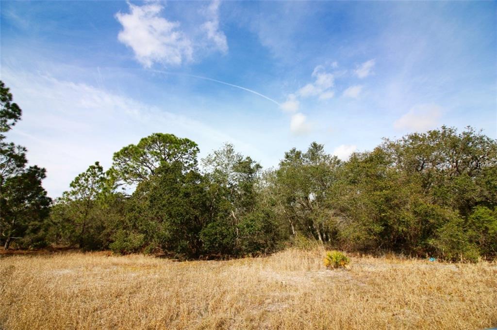 1205 CARIBBEAN DR, POINCIANA, Florida 34759, ,Vacant land,For sale,CARIBBEAN DR,P4719040