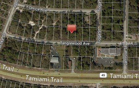 16254 TANGLEWOOD AVENUE, PORT CHARLOTTE, Florida 33954, ,Vacant land,For sale,TANGLEWOOD,C7245328