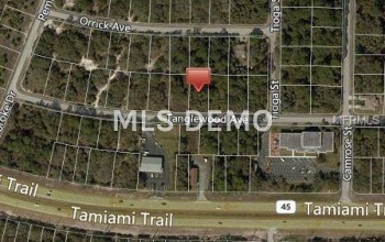 16254 TANGLEWOOD AVENUE, PORT CHARLOTTE, Florida 33954, ,Vacant land,For sale,TANGLEWOOD,C7245328