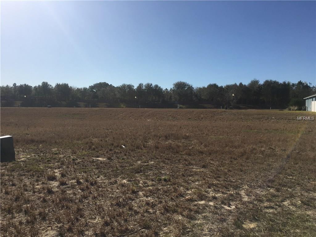 2037 SLOANS OUTLOOK DRIVE, GROVELAND, Florida 34736, ,Vacant land,For sale,SLOANS OUTLOOK,O5561601