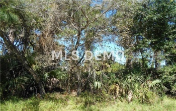 17488 MARCY AVENUE PORT CHARLOTTE, Florida 33948, ,Vacant land,For sale,MARCY,C7232687
