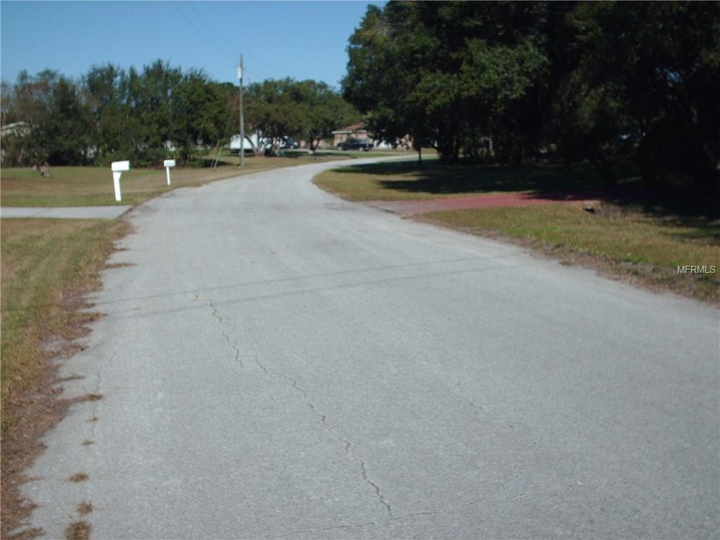 4443 CANTOR DRIVE, WESLEY CHAPEL, Florida 33543, ,Vacant land,For sale,CANTOR,T2913135