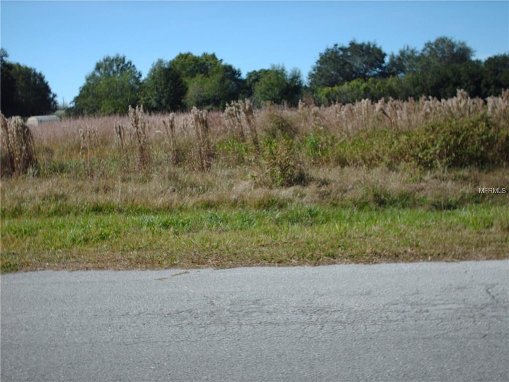 4443 CANTOR DRIVE, WESLEY CHAPEL, Florida 33543, ,Vacant land,For sale,CANTOR,T2913135