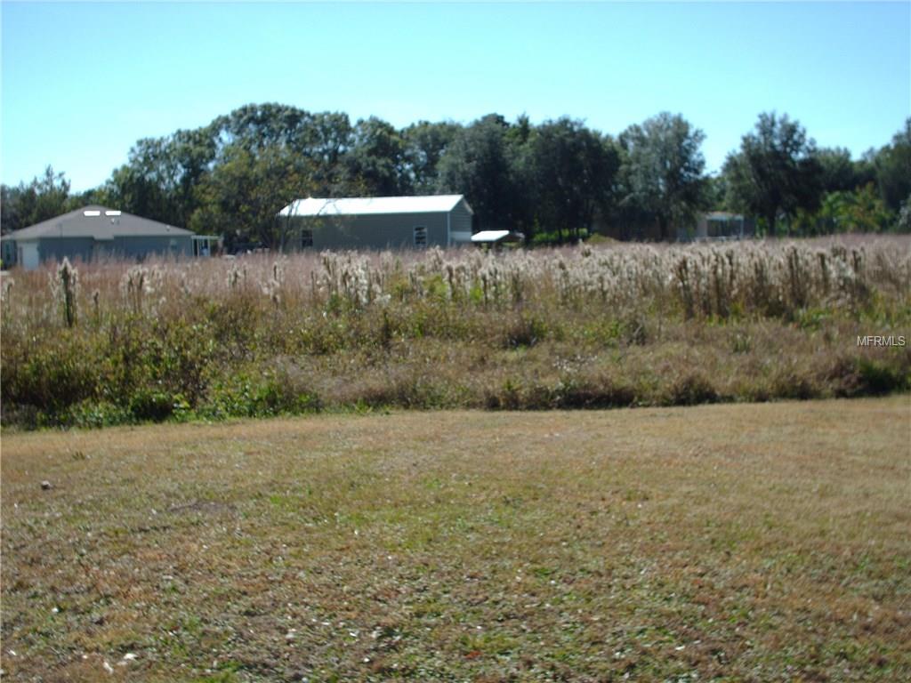 4443 CANTOR DRIVE, WESLEY CHAPEL, Florida 33543, ,Vacant land,For sale,CANTOR,T2913135