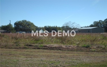 4443 CANTOR DRIVE, WESLEY CHAPEL, Florida 33543, ,Vacant land,For sale,CANTOR,T2913135