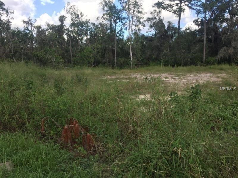 3223 PICCOLO COURT, OCOEE, Florida 34761, ,Vacant land,For sale,PICCOLO,A4201228