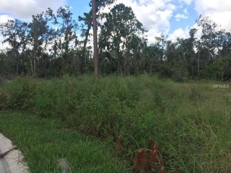 3223 PICCOLO COURT, OCOEE, Florida 34761, ,Vacant land,For sale,PICCOLO,A4201228