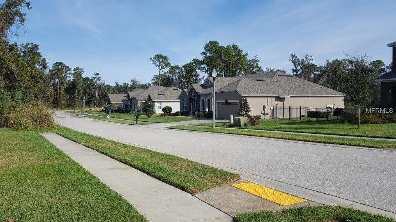 3223 PICCOLO COURT, OCOEE, Florida 34761, ,Vacant land,For sale,PICCOLO,A4201228