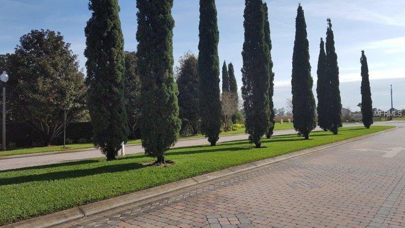 3223 PICCOLO COURT, OCOEE, Florida 34761, ,Vacant land,For sale,PICCOLO,A4201228