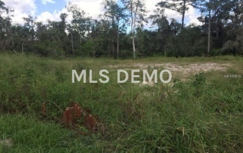 3223 PICCOLO COURT, OCOEE, Florida 34761, ,Vacant land,For sale,PICCOLO,A4201228