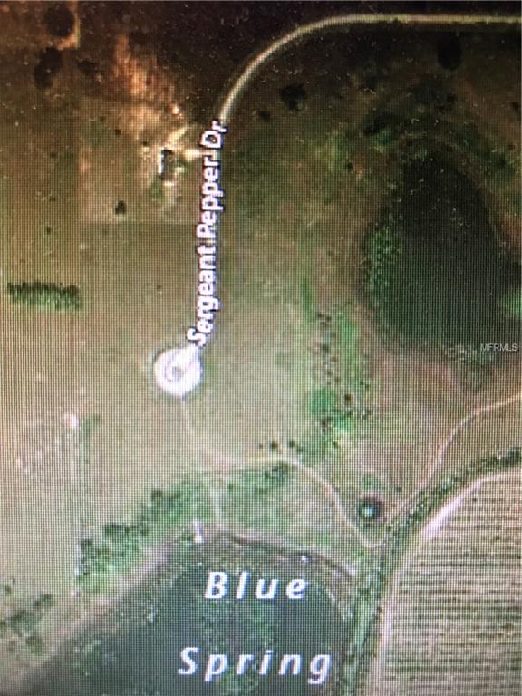 8004 SERGEANT PEPPER DRIVE, HOWEY IN THE HILLS, Florida 34737, ,Vacant land,For sale,SERGEANT PEPPER,S4857008