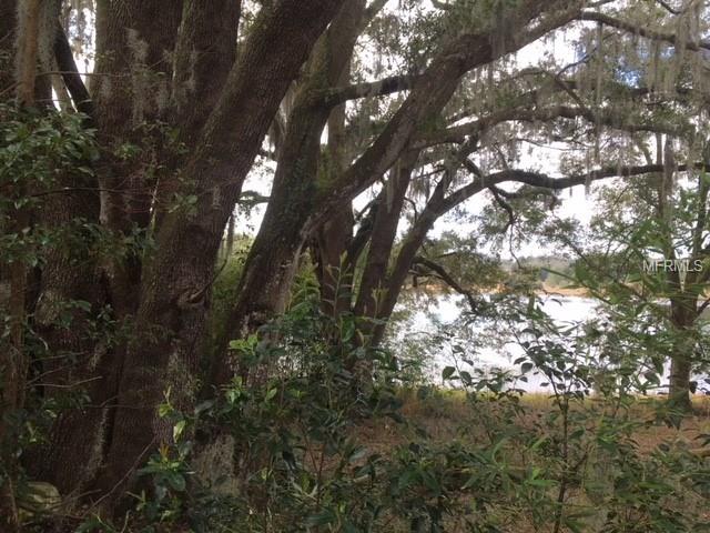 0 DULGAR ROAD, LADY LAKE, Florida 32159, ,Vacant land,For sale,DULGAR,G4852743