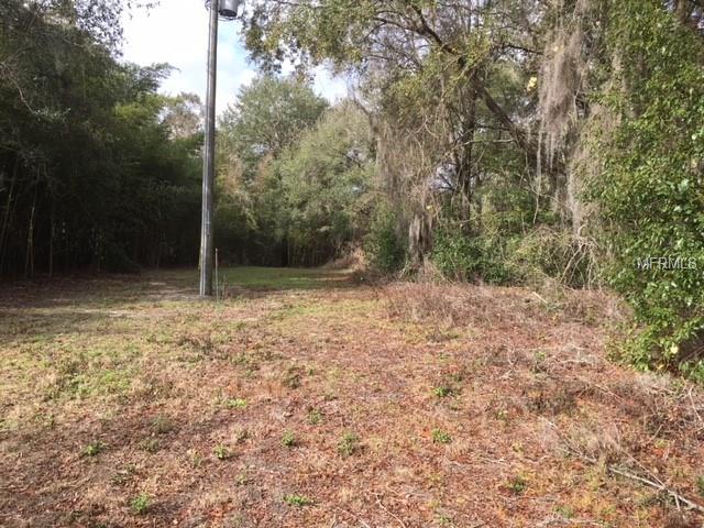 0 DULGAR ROAD, LADY LAKE, Florida 32159, ,Vacant land,For sale,DULGAR,G4852743