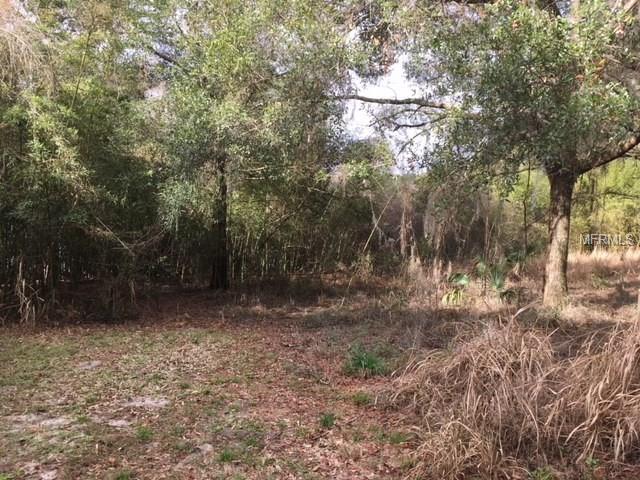 0 DULGAR ROAD, LADY LAKE, Florida 32159, ,Vacant land,For sale,DULGAR,G4852743