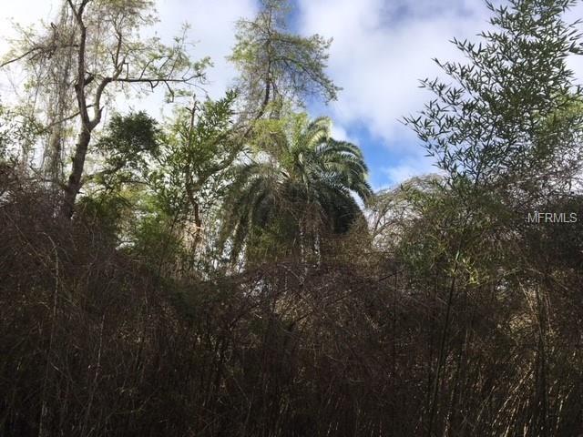 0 DULGAR ROAD, LADY LAKE, Florida 32159, ,Vacant land,For sale,DULGAR,G4852743