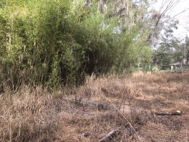 0 DULGAR ROAD, LADY LAKE, Florida 32159, ,Vacant land,For sale,DULGAR,G4852743