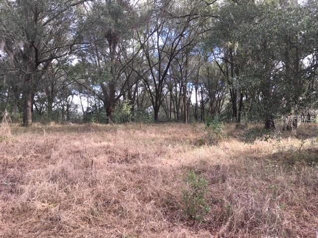 0 DULGAR ROAD, LADY LAKE, Florida 32159, ,Vacant land,For sale,DULGAR,G4852743