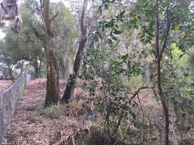 0 DULGAR ROAD, LADY LAKE, Florida 32159, ,Vacant land,For sale,DULGAR,G4852743