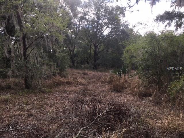 0 DULGAR ROAD, LADY LAKE, Florida 32159, ,Vacant land,For sale,DULGAR,G4852743