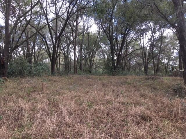 0 DULGAR ROAD, LADY LAKE, Florida 32159, ,Vacant land,For sale,DULGAR,G4852743