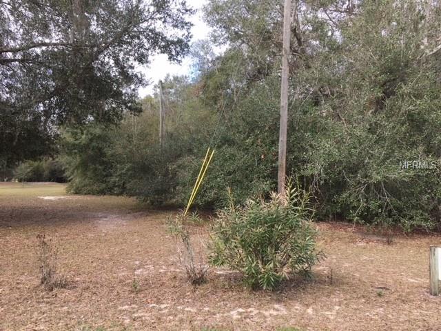 0 DULGAR ROAD, LADY LAKE, Florida 32159, ,Vacant land,For sale,DULGAR,G4852743
