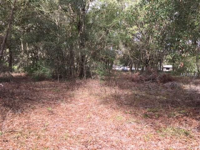 0 DULGAR ROAD, LADY LAKE, Florida 32159, ,Vacant land,For sale,DULGAR,G4852743