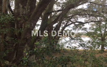 0 DULGAR ROAD, LADY LAKE, Florida 32159, ,Vacant land,For sale,DULGAR,G4852743