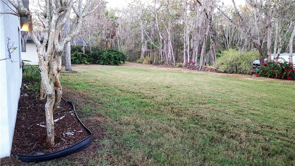 241 MARCUM TRACE DRIVE, LAKELAND, Florida 33809, 3 Bedrooms Bedrooms, 6 Rooms Rooms,2 BathroomsBathrooms,Residential,For sale,MARCUM TRACE,L4724870