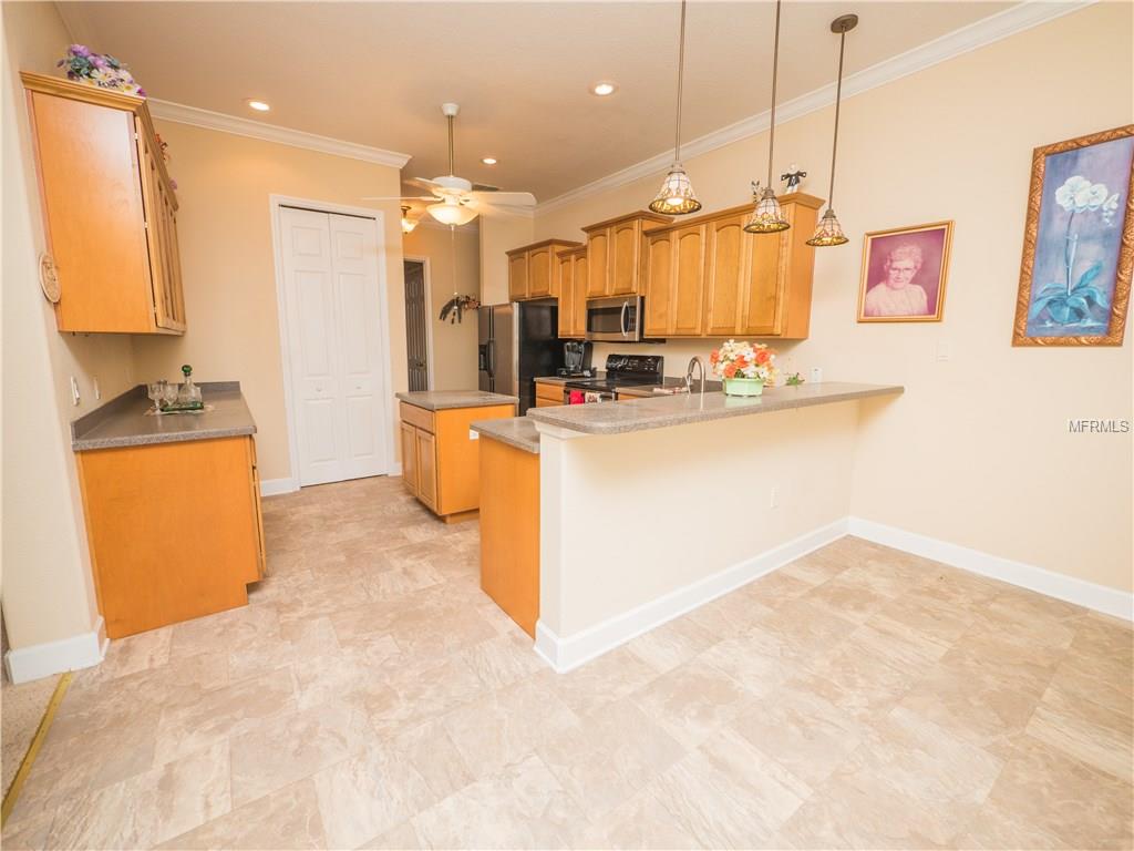 5423 VINTAGE VIEW PASS, LAKELAND, Florida 33812, 3 Bedrooms Bedrooms, 5 Rooms Rooms,3 BathroomsBathrooms,Residential,For sale,VINTAGE VIEW,L4725166