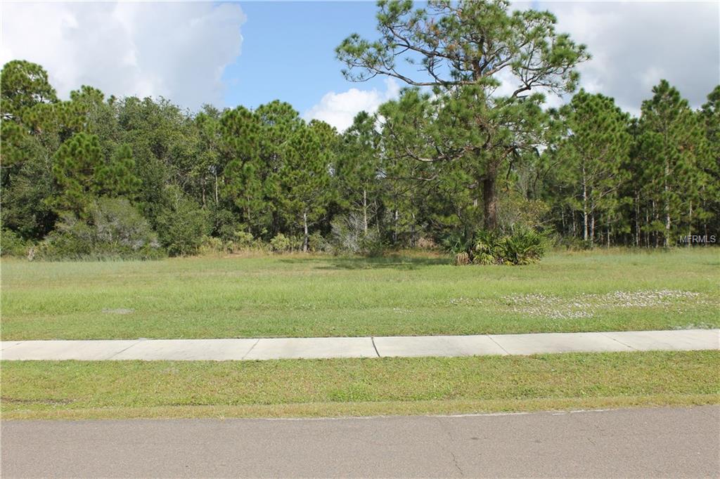 11574 SW BEN DRIVE, LAKE SUZY, Florida 34269, ,Vacant land,For sale,BEN,C7245539