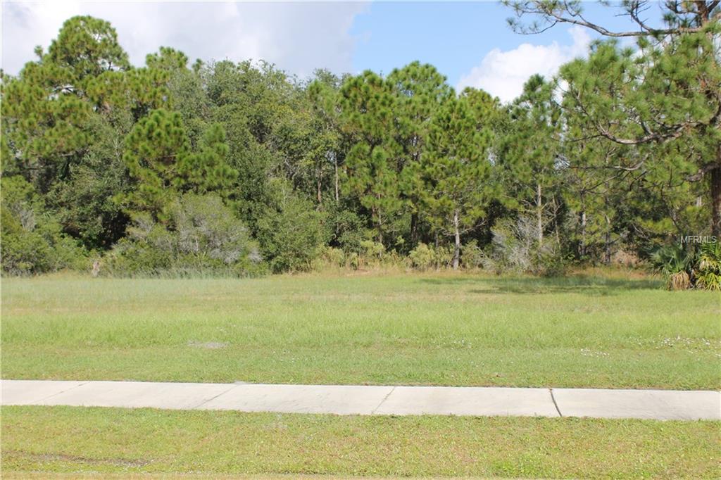 11574 SW BEN DRIVE, LAKE SUZY, Florida 34269, ,Vacant land,For sale,BEN,C7245539