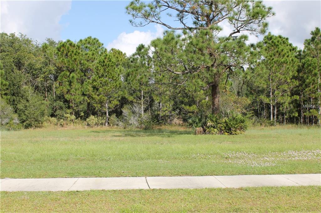 11574 SW BEN DRIVE, LAKE SUZY, Florida 34269, ,Vacant land,For sale,BEN,C7245539