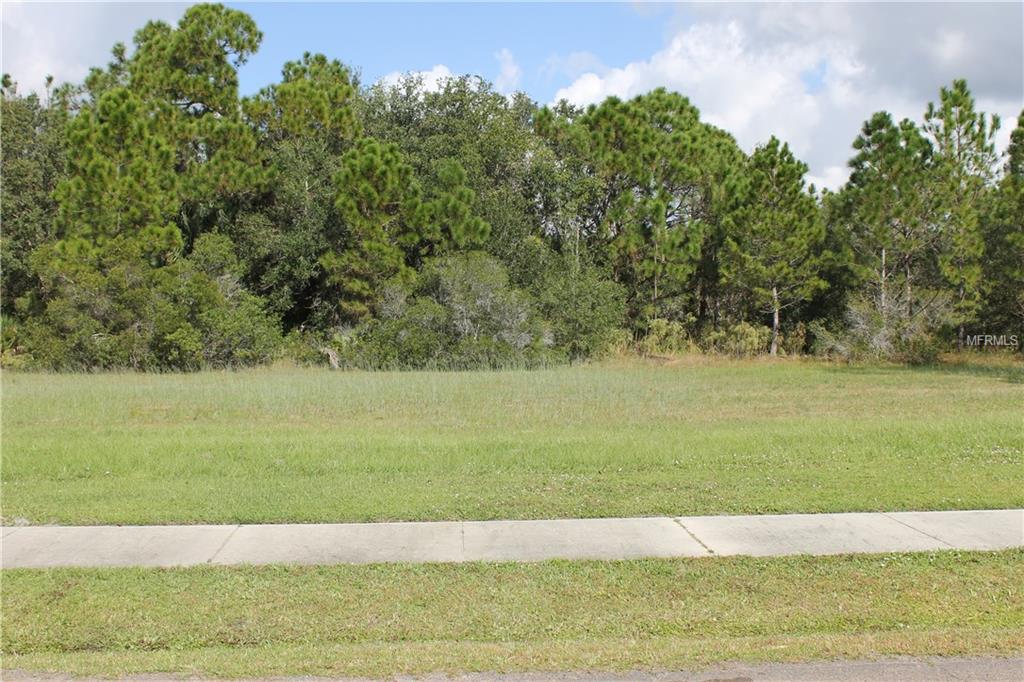 11574 SW BEN DRIVE, LAKE SUZY, Florida 34269, ,Vacant land,For sale,BEN,C7245539