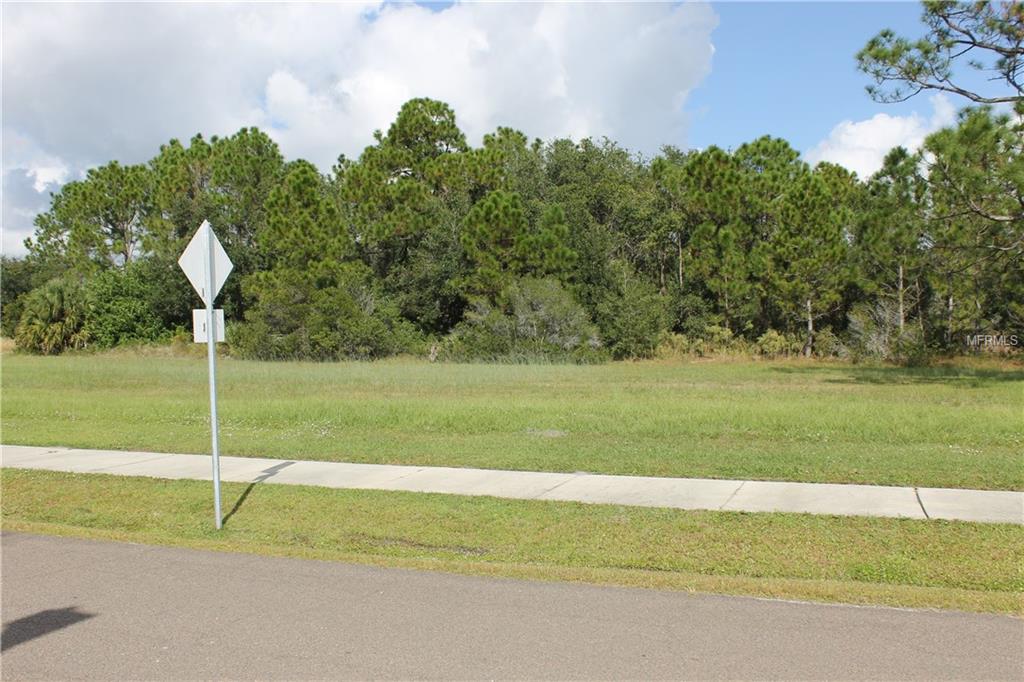 11574 SW BEN DRIVE, LAKE SUZY, Florida 34269, ,Vacant land,For sale,BEN,C7245539