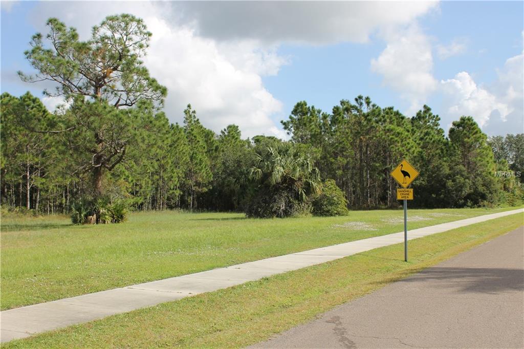 11574 SW BEN DRIVE, LAKE SUZY, Florida 34269, ,Vacant land,For sale,BEN,C7245539