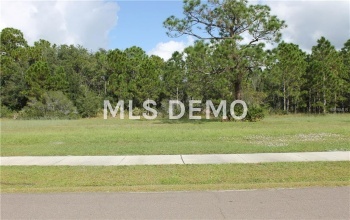 11574 SW BEN DRIVE, LAKE SUZY, Florida 34269, ,Vacant land,For sale,BEN,C7245539