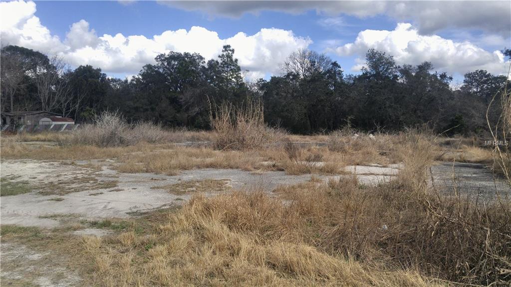 MADELINE, HUDSON, Florida 34667, ,Vacant land,For sale,MADELINE,U7847408
